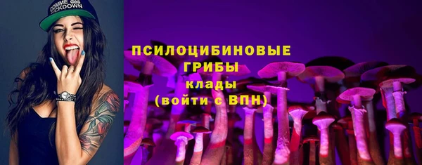 круглые Вяземский