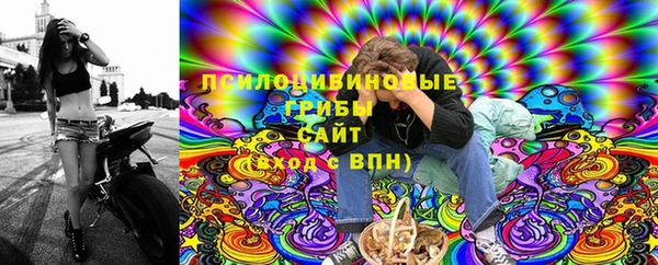 круглые Вяземский