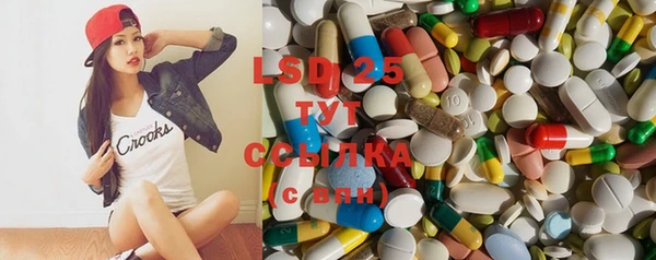стафф Вяземский