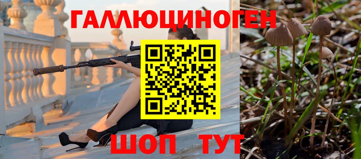 Гусь-Хрустальный  Псилоцибиновые грибы GOLDEN TEACHER  Вход с VPN 