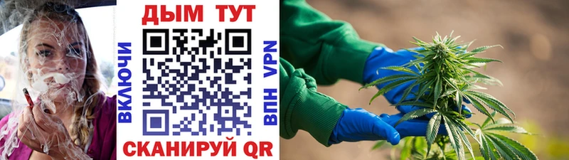 Каннабис сатива  Гусь-Хрустальный 